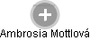 Ambrosia Mottlová - Vizualizace  propojení osoby a firem v obchodním rejstříku