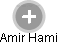 Amir Hami - Vizualizace  propojení osoby a firem v obchodním rejstříku