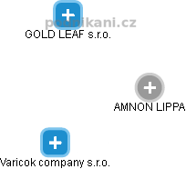 AMNON LIPPA - Vizualizace  propojení osoby a firem v obchodním rejstříku