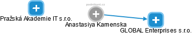  Anastasiya K. - Vizualizace  propojení osoby a firem v obchodním rejstříku