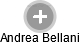Andrea Bellani - Vizualizace  propojení osoby a firem v obchodním rejstříku
