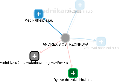 ANDREA SIOSTRZONKOVÁ - Vizualizace  propojení osoby a firem v obchodním rejstříku