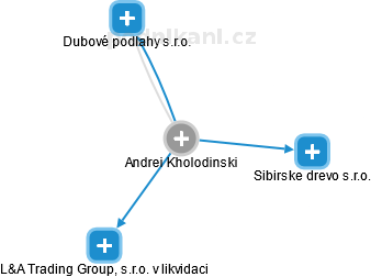 Andrei Kholodinski - Vizualizace  propojení osoby a firem v obchodním rejstříku