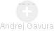 Andrej Gavura - Vizualizace  propojení osoby a firem v obchodním rejstříku