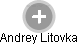 Andrey Litovka - Vizualizace  propojení osoby a firem v obchodním rejstříku