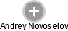 Andrey Novoselov - Vizualizace  propojení osoby a firem v obchodním rejstříku