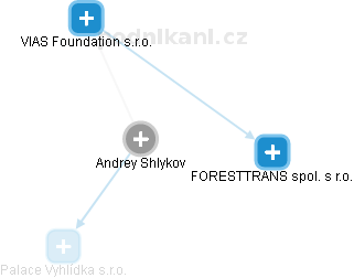 Andrey Shlykov - Vizualizace  propojení osoby a firem v obchodním rejstříku