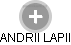 ANDRII LAPII - Vizualizace  propojení osoby a firem v obchodním rejstříku