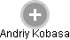 Andriy Kobasa - Vizualizace  propojení osoby a firem v obchodním rejstříku