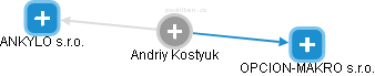 Andriy Kostyuk - Vizualizace  propojení osoby a firem v obchodním rejstříku