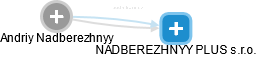  Andriy N. - Vizualizace  propojení osoby a firem v obchodním rejstříku