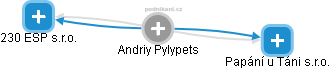 Andriy Pylypets - Vizualizace  propojení osoby a firem v obchodním rejstříku