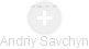 Andriy Savchyn - Vizualizace  propojení osoby a firem v obchodním rejstříku