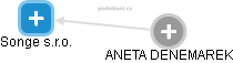 ANETA DENEMAREK - Vizualizace  propojení osoby a firem v obchodním rejstříku