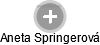Aneta Springerová - Vizualizace  propojení osoby a firem v obchodním rejstříku