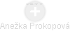 Anežka Prokopová - Vizualizace  propojení osoby a firem v obchodním rejstříku