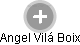 Angel Vilá Boix - Vizualizace  propojení osoby a firem v obchodním rejstříku