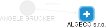  Brucker A. - Vizualizace  propojení osoby a firem v obchodním rejstříku