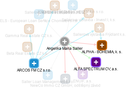 Angelika Maria Saller - Vizualizace  propojení osoby a firem v obchodním rejstříku