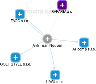  Anh N. - Vizualizace  propojení osoby a firem v obchodním rejstříku