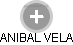 ANIBAL VELA - Vizualizace  propojení osoby a firem v obchodním rejstříku