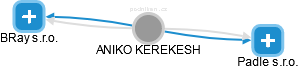  Kerekesh A. - Vizualizace  propojení osoby a firem v obchodním rejstříku