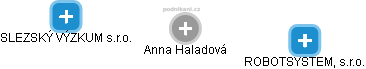 Anna Haladová - Vizualizace  propojení osoby a firem v obchodním rejstříku