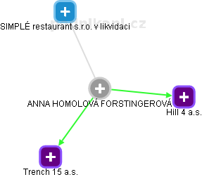 ANNA HOMOLOVÁ FORSTINGEROVÁ - Vizualizace  propojení osoby a firem v obchodním rejstříku