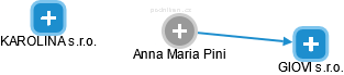 Anna Maria Pini - Vizualizace  propojení osoby a firem v obchodním rejstříku