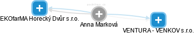 Anna Marková - Vizualizace  propojení osoby a firem v obchodním rejstříku