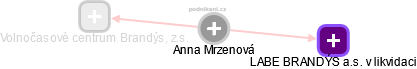  Anna M. - Vizualizace  propojení osoby a firem v obchodním rejstříku