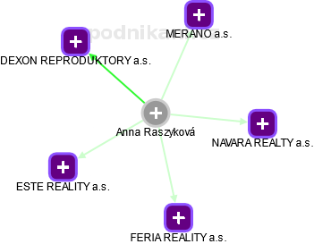 Anna Raszyková - Vizualizace  propojení osoby a firem v obchodním rejstříku