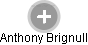 Anthony Brignull - Vizualizace  propojení osoby a firem v obchodním rejstříku