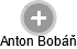 Anton B. - Vizualizace  propojení osoby a firem v obchodním rejstříku