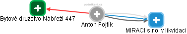  Anton F. - Vizualizace  propojení osoby a firem v obchodním rejstříku