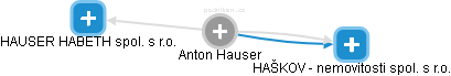 Anton Hauser - Vizualizace  propojení osoby a firem v obchodním rejstříku