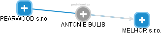 ANTONIE BULIS - Vizualizace  propojení osoby a firem v obchodním rejstříku