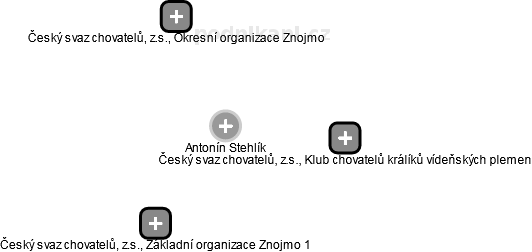 Antonín Stehlík - Vizualizace  propojení osoby a firem v obchodním rejstříku