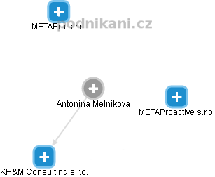 Antonina Melnikova - Vizualizace  propojení osoby a firem v obchodním rejstříku