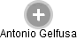 Antonio Gelfusa - Vizualizace  propojení osoby a firem v obchodním rejstříku