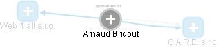 Arnaud Bricout - Vizualizace  propojení osoby a firem v obchodním rejstříku