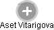 Aset Vitarigova - Vizualizace  propojení osoby a firem v obchodním rejstříku