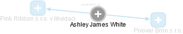Ashley James White - Vizualizace  propojení osoby a firem v obchodním rejstříku