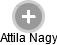  Attila N. - Vizualizace  propojení osoby a firem v obchodním rejstříku