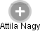  Attila N. - Vizualizace  propojení osoby a firem v obchodním rejstříku