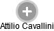 Attilio Cavallini - Vizualizace  propojení osoby a firem v obchodním rejstříku