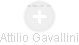 Attilio Gavallini - Vizualizace  propojení osoby a firem v obchodním rejstříku