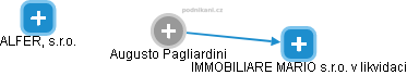 Augusto Pagliardini - Vizualizace  propojení osoby a firem v obchodním rejstříku