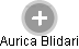 Aurica Blidari - Vizualizace  propojení osoby a firem v obchodním rejstříku
