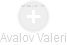 Avalov Valeri - Vizualizace  propojení osoby a firem v obchodním rejstříku